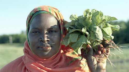 Somali Farmers Find a New Home in Maine