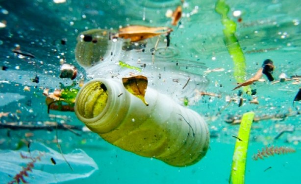 Africa: UN Declares War On Ocean Plastic