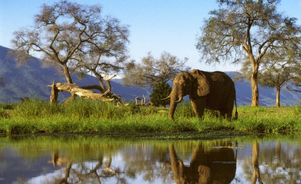 Zimbabwe: 10 Great Reasons to Visit Zimbabwe