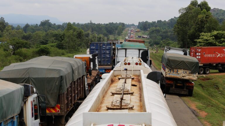 VIDEO: Truckers in 21-mile traffic jam for COVID-19 testing without food or water at Kenya/Uganda border