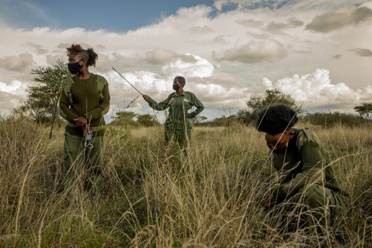 Women Rangers Work to Keep Lid on Illegal Game Hunting
