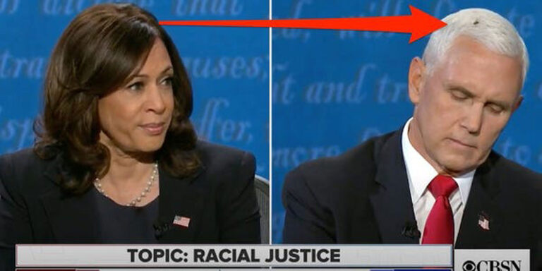 Harris and Pence Spar Over Economy and Race in VP Debate