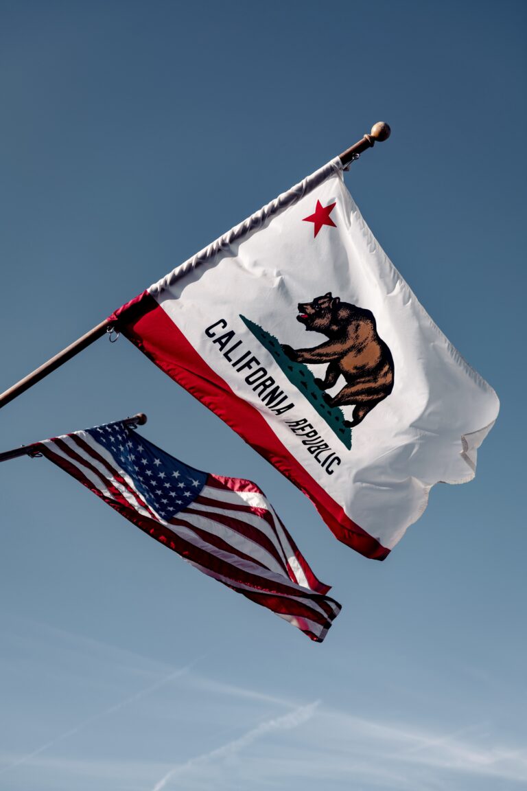 Election 2020 Update: All California Black Caucus Members Hold Strong Leads in Races
