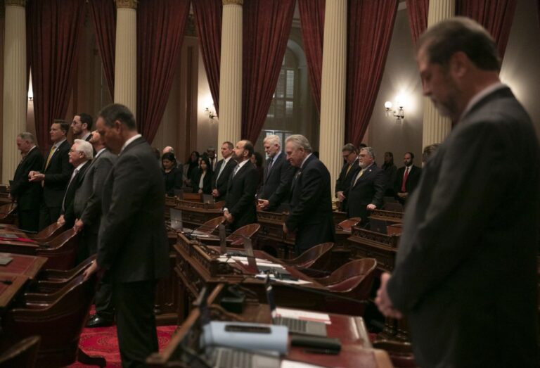 Interactive: How diverse is the California Legislature?