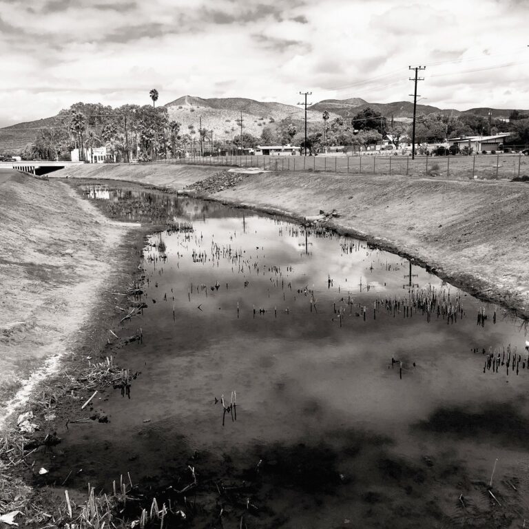 A Photographer Spent Years Memorializing Some 300 Sites Of Fatal Police Shootings Across America