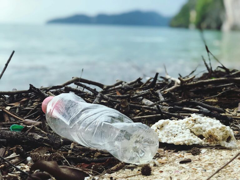 The Feds Are Phasing Out Single-Use Plastics