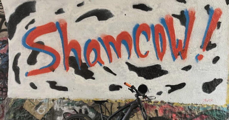 Who is ShamCow? Artist behind the graffiti tag popping up around Philadelphia defends his work