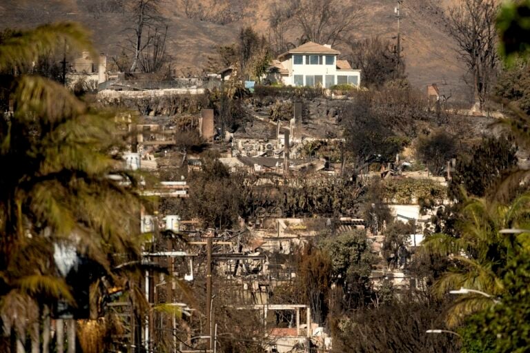 Why Are Lone Homes Left Standing After The Fires? It’s Not Entirely Luck