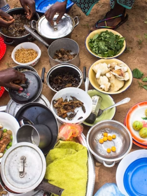 Hunger Crisis is Set to Get Worse in West and Central Africa – Why and What To Do About It