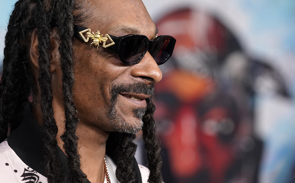 Snoop Dogg Joins Bid to Buy NHL Hockey Team - The San Diego Voice &  Viewpoint