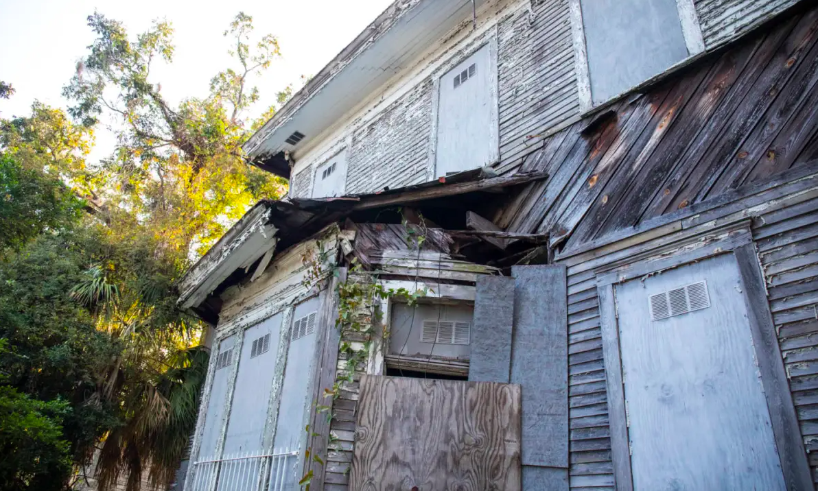 Savannah City Government To Give 500 000 Toward Restoration Of African Savannah city government to give 500 000 toward restoration of african