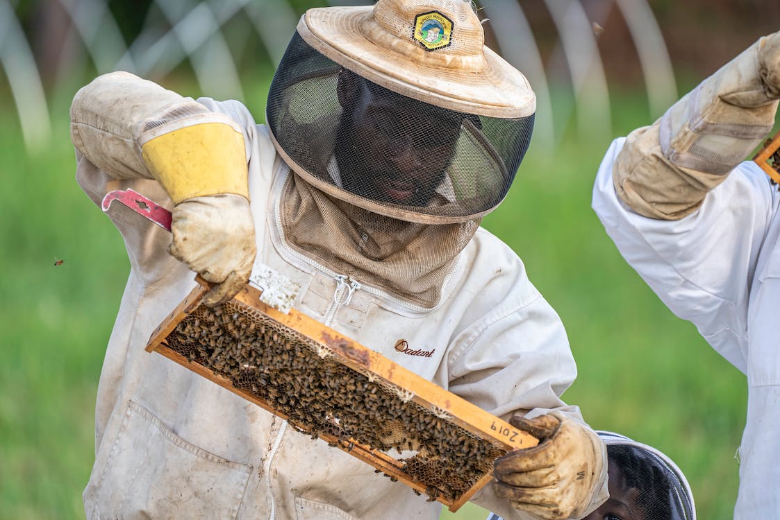 Black Beekeepers Are Reclaiming Their Relationship With the Land