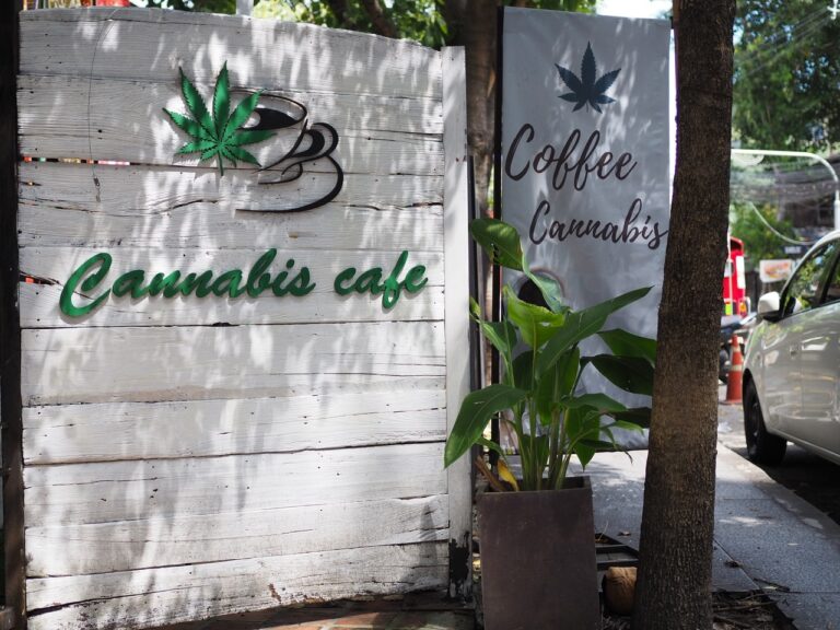 Gov. Newsom Vetoes Cannabis Café Bill
