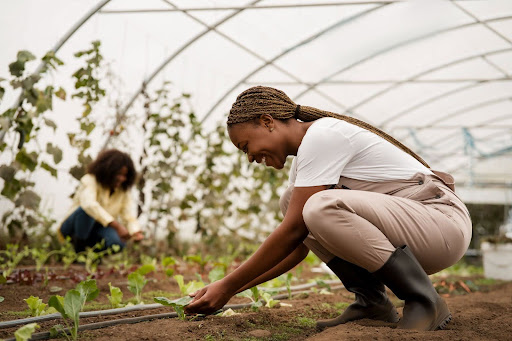 3 Black Women Farmers Fighting Food Injustice